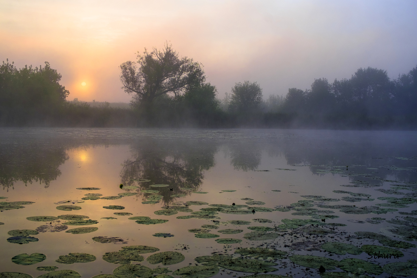 Тёплое летнее утро.