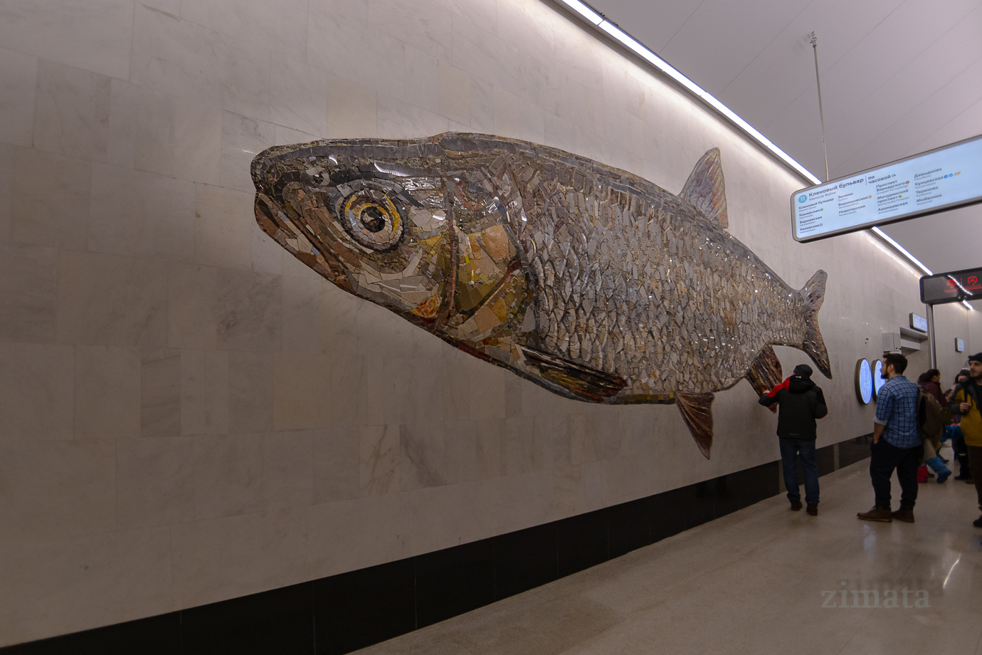 рыбный интерес