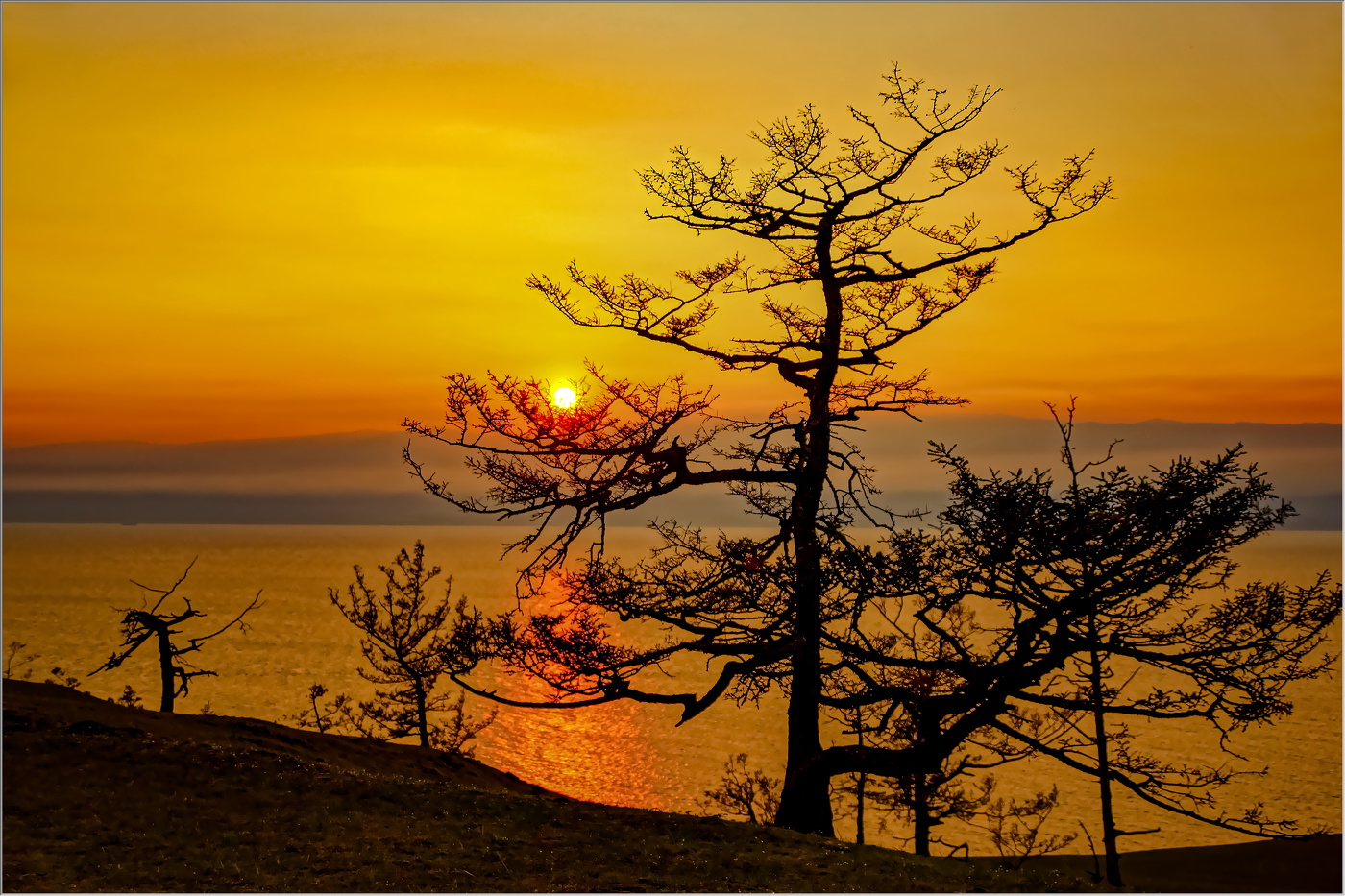 В дыму лесных пожаров