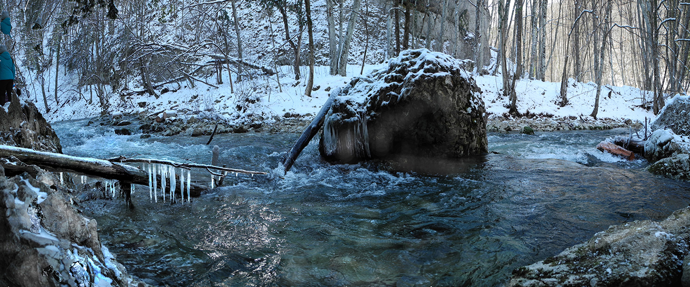 Лесная панорама