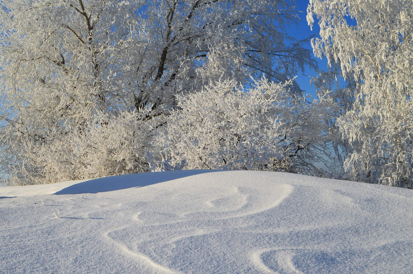 зимнее настроение