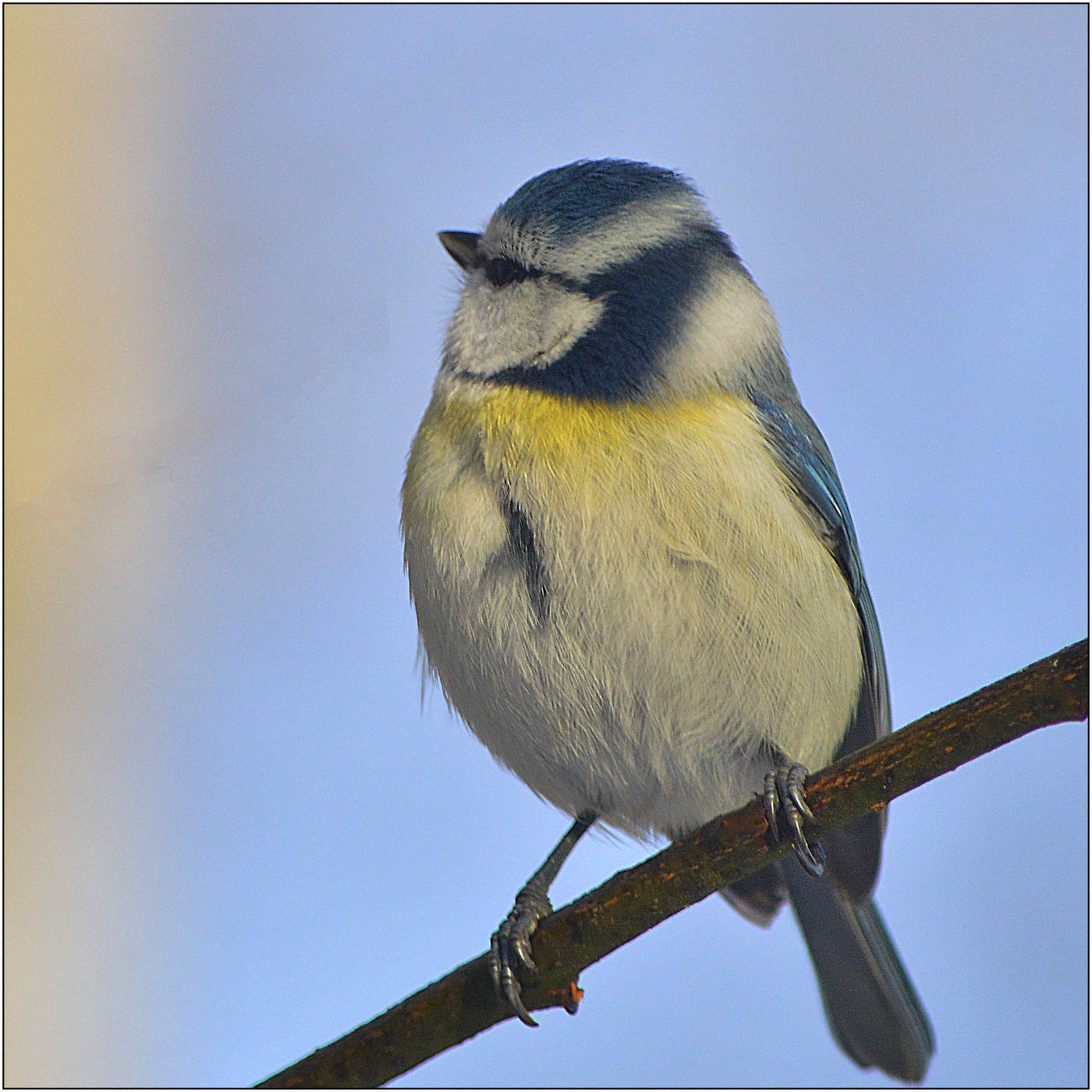 "Не хочу фотографироваться".
