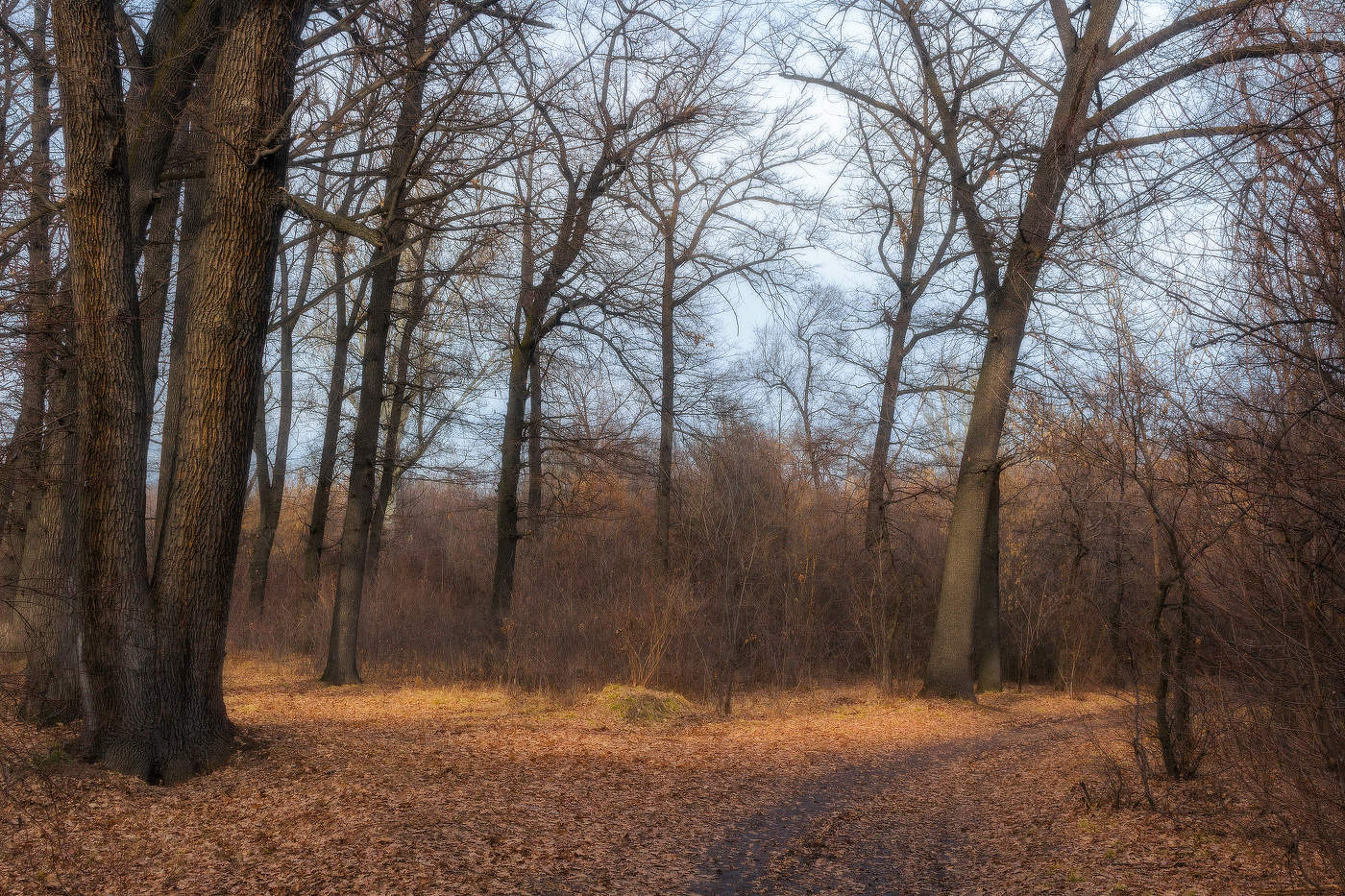 Пробуждение...