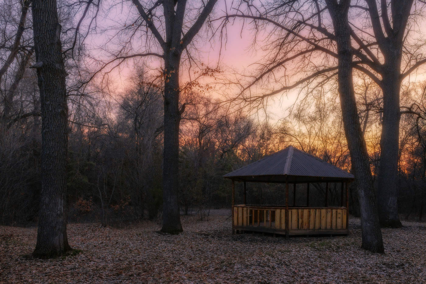 Весенний вечер в роще Баума...