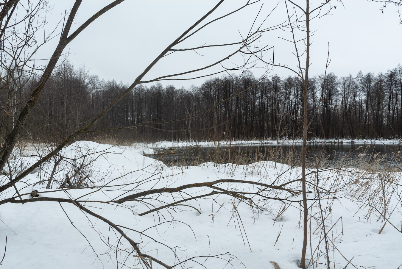 пейзаж тонкий
