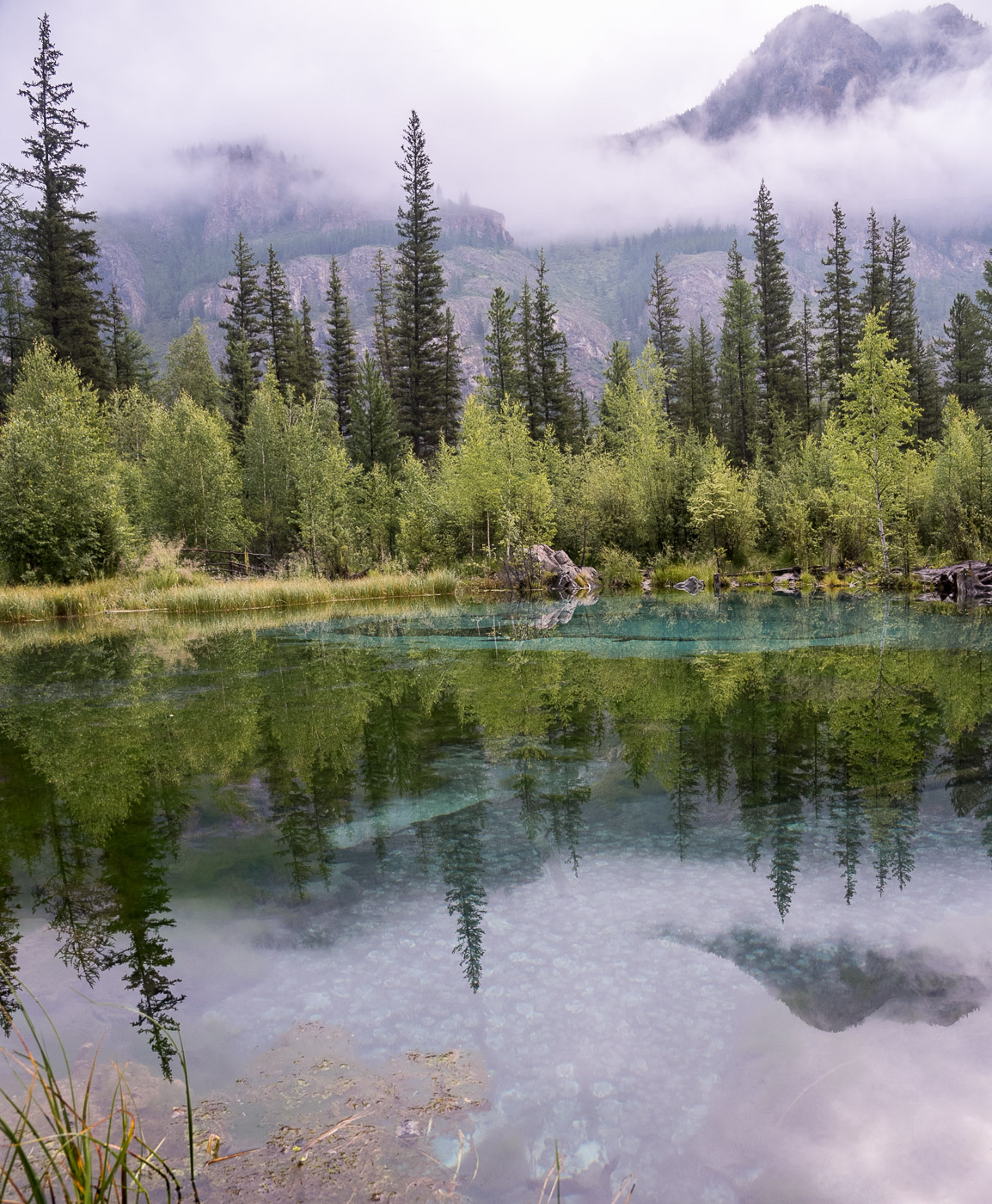 Воспоминание о лете