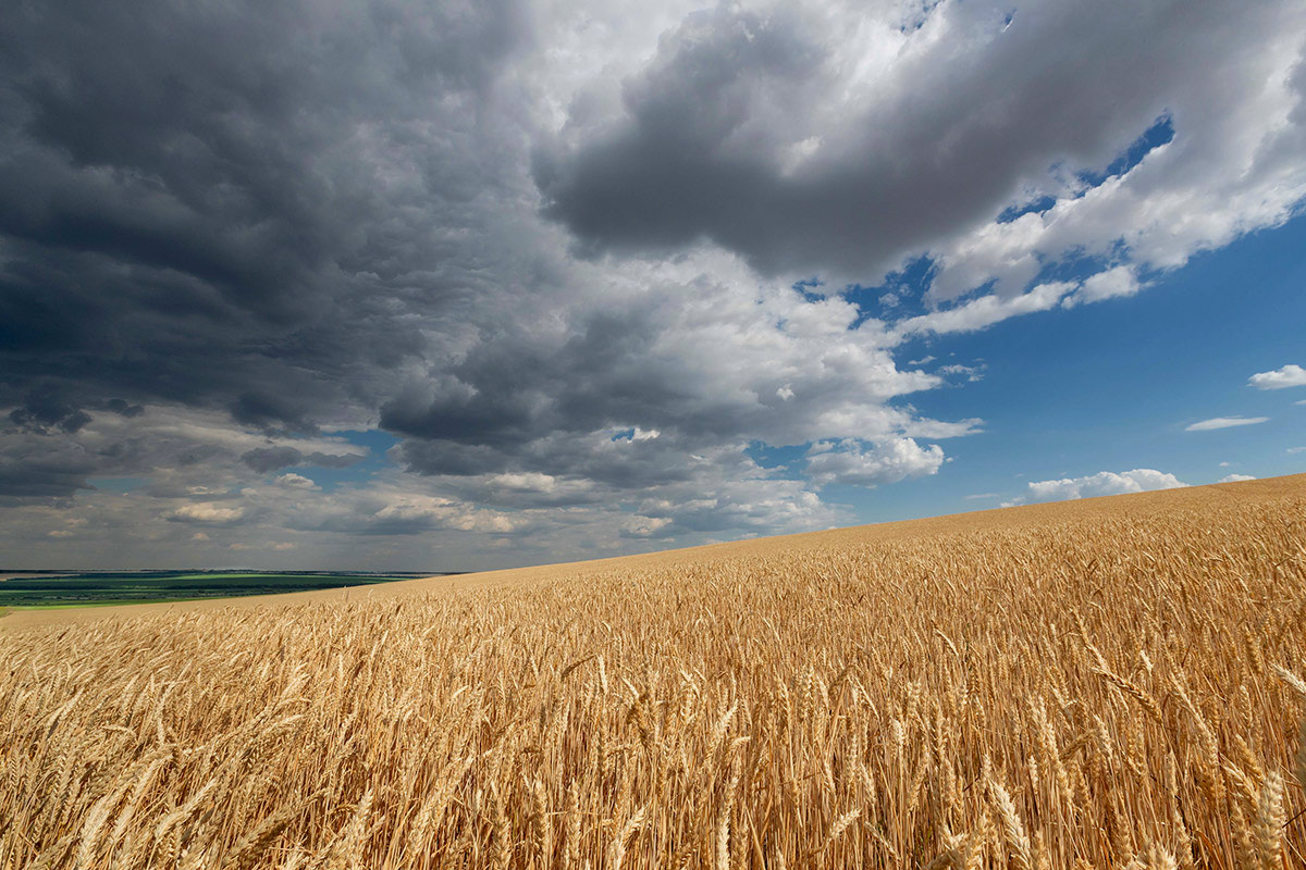 Вспоминая июль