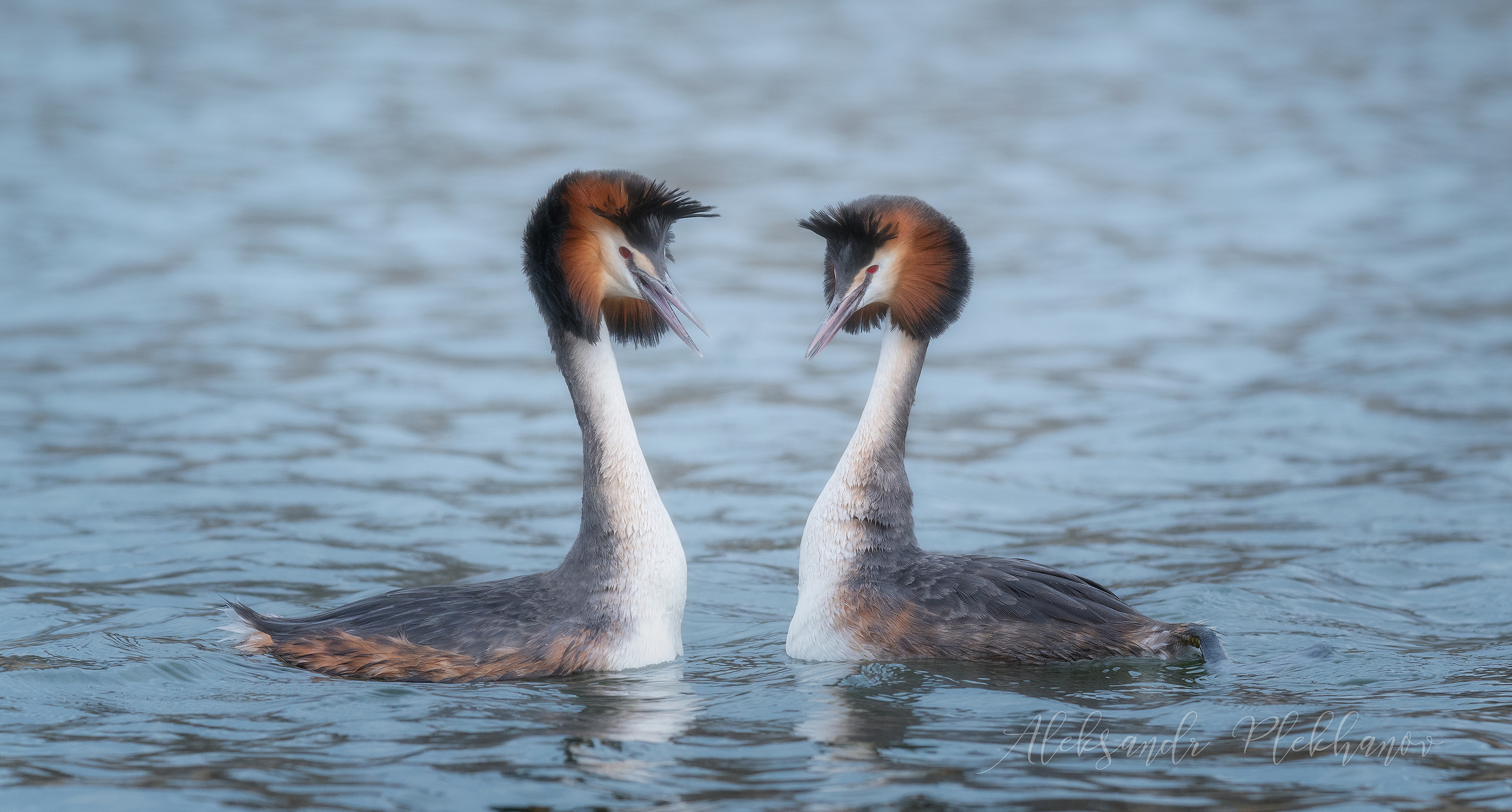 Весенний вальс