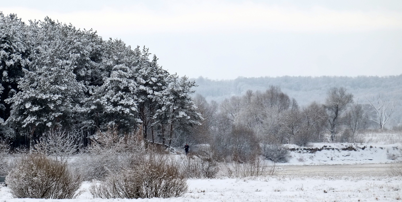 Зимний пейзаж у Оки.