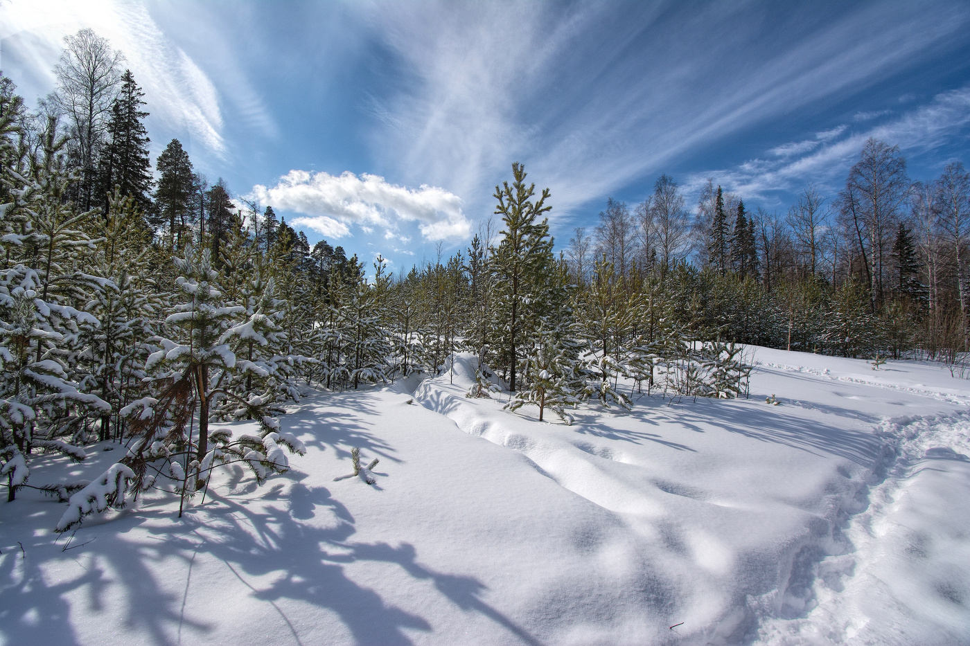 Весеннее настроение
