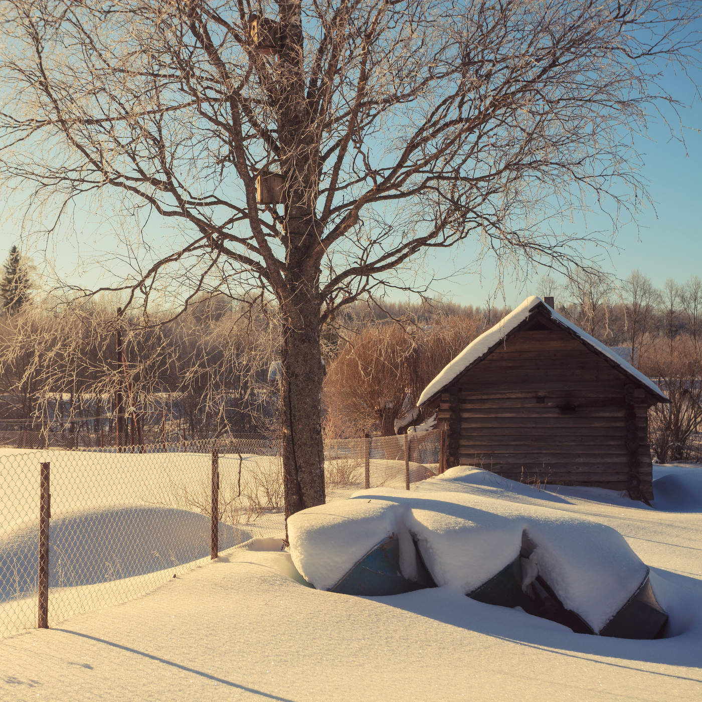Жизнь вокруг