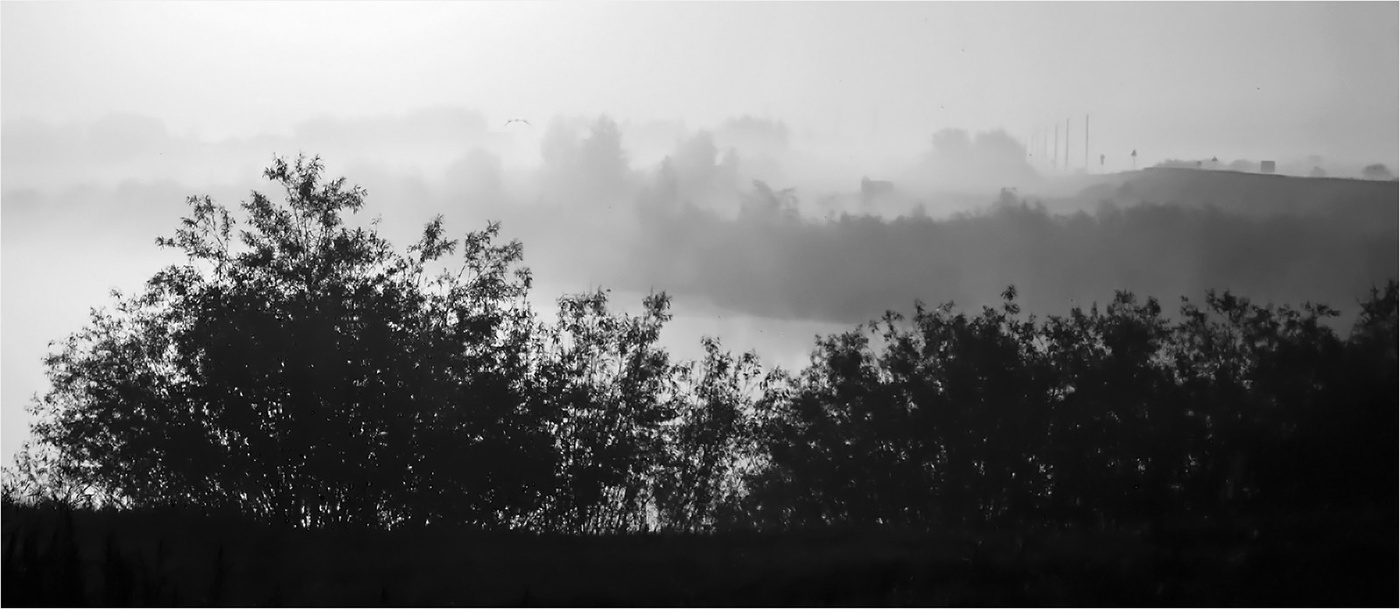 В пелене тумана