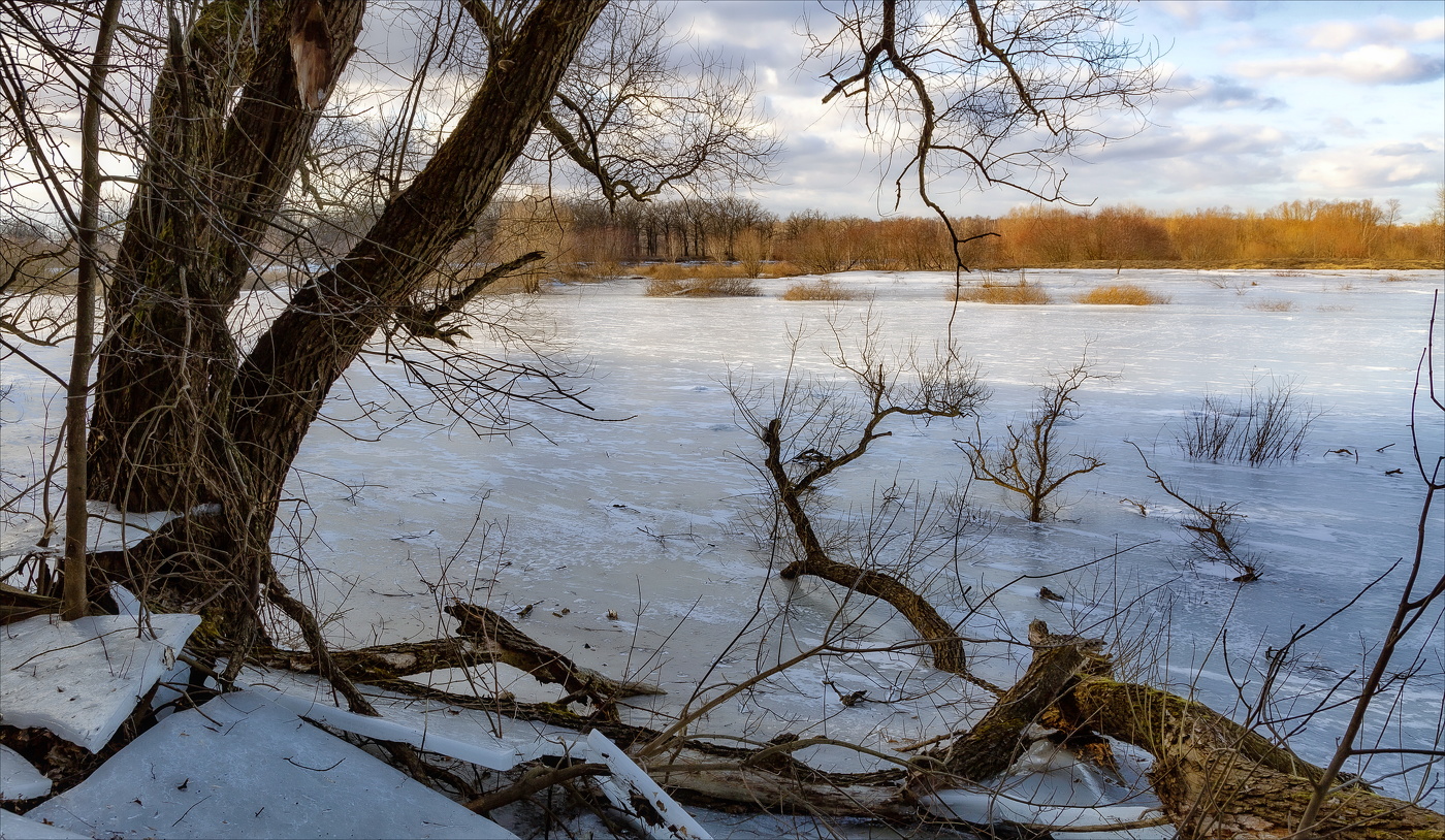 Пробуждение