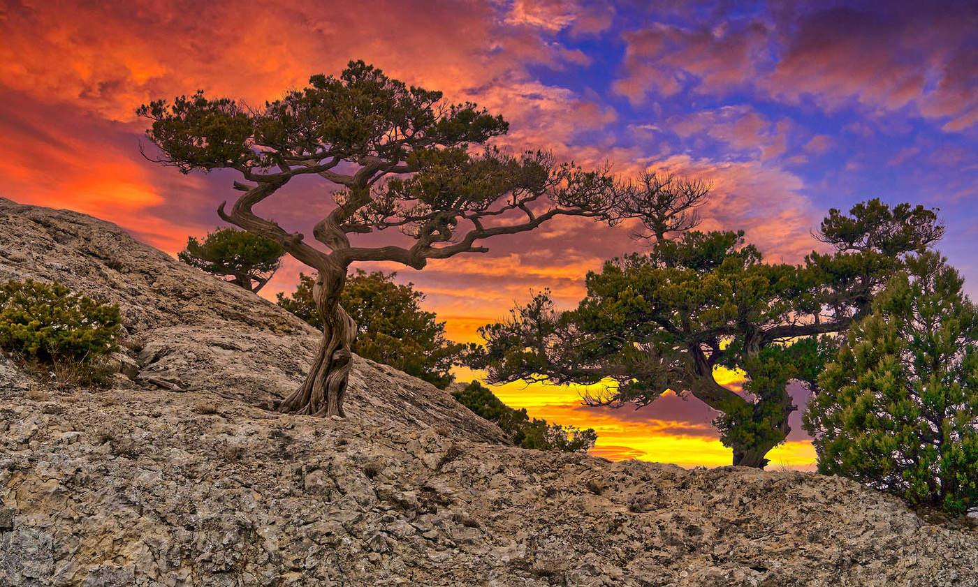 Утро на пике Космос