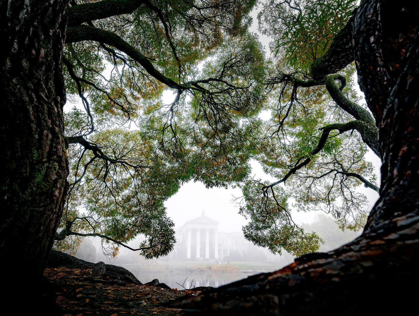 Осенний сон