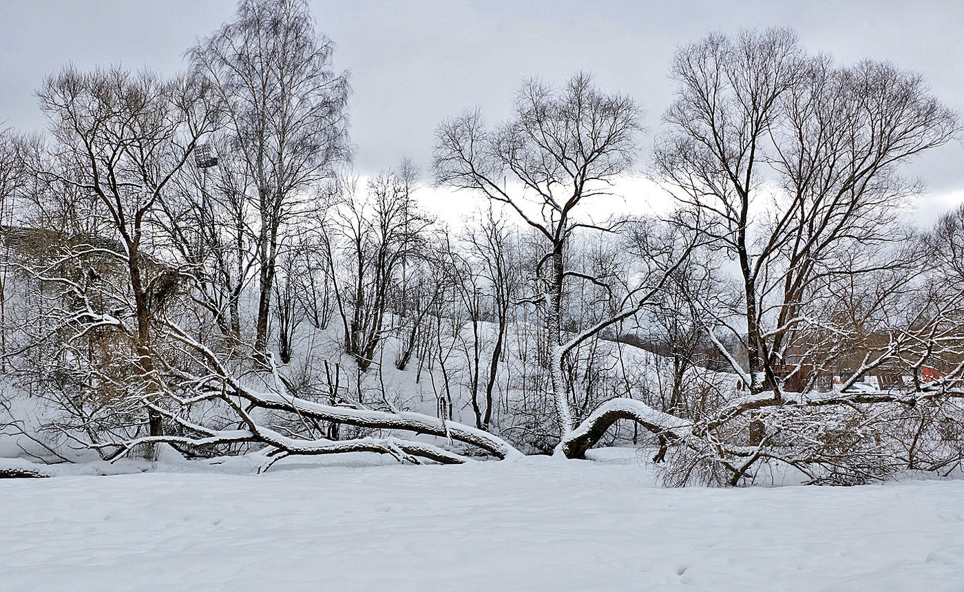 Мартовский пейзаж