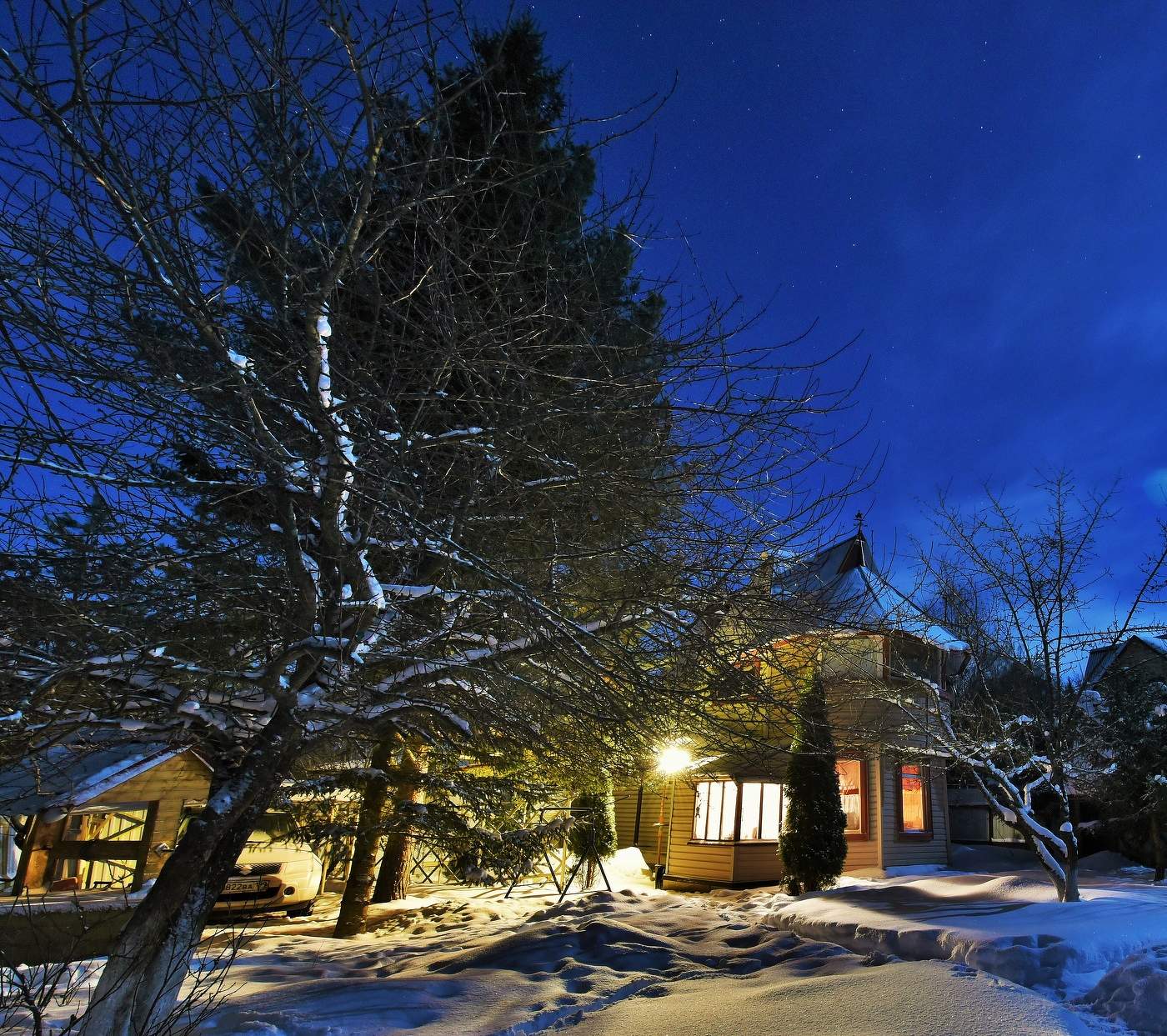 "Треплет ветер за окном дерево без листьев..."