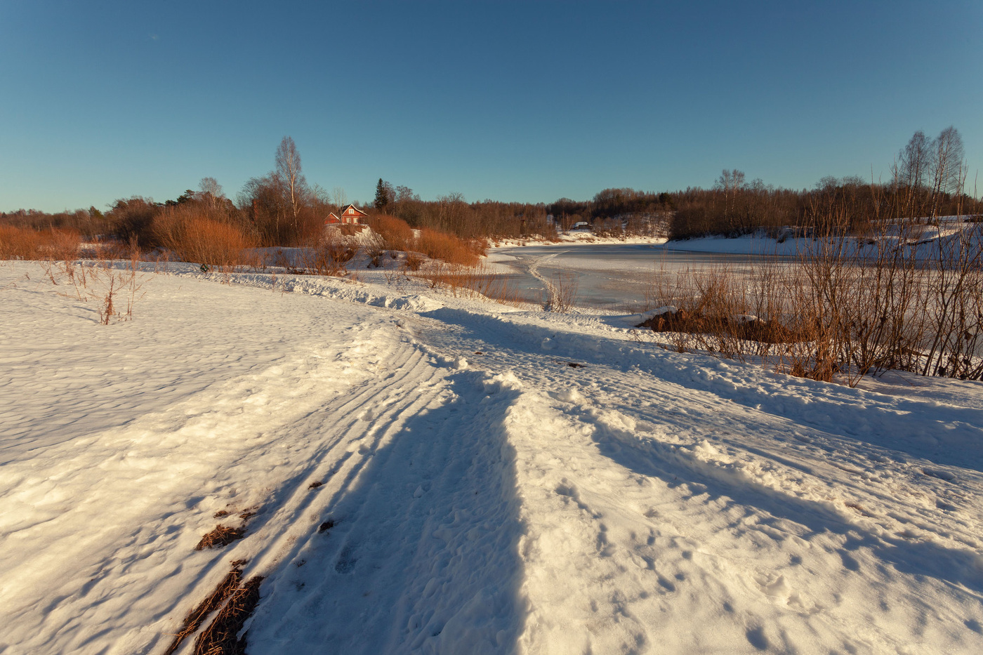 Жизнь вокруг