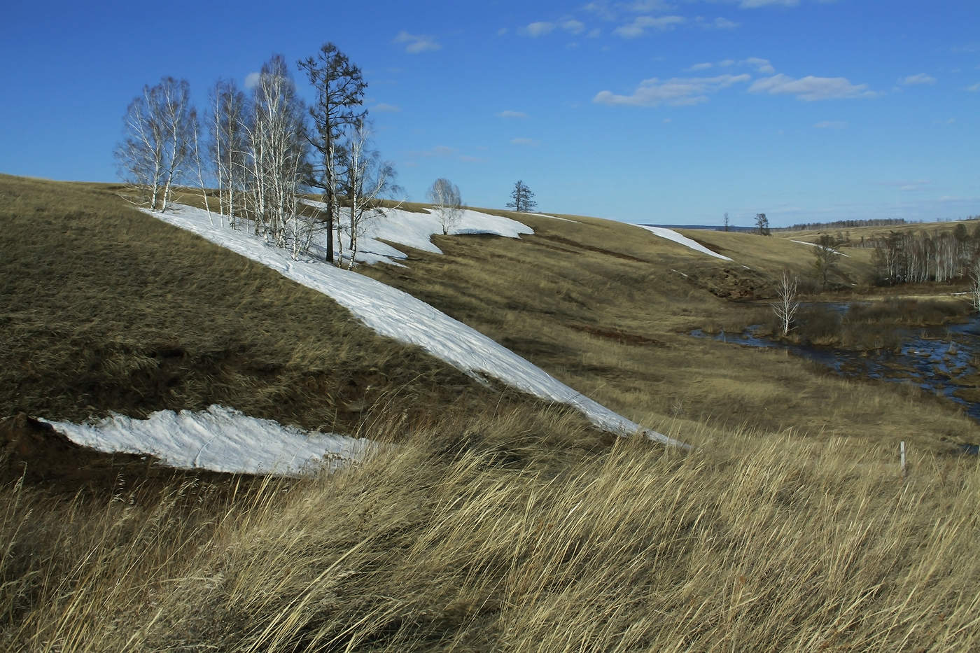 Штрихи весны
