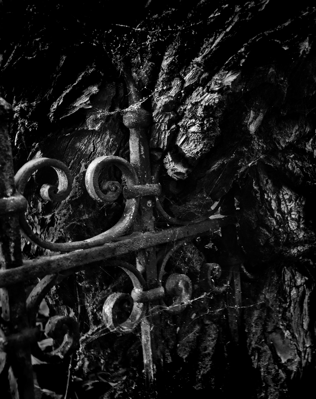 Срастание-1