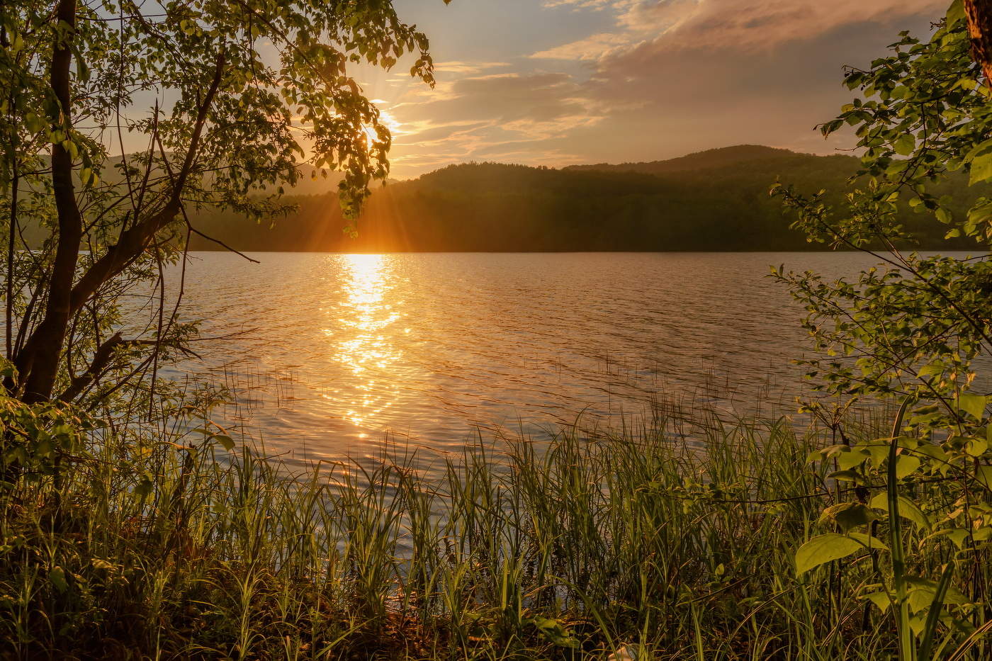 Летний вечер