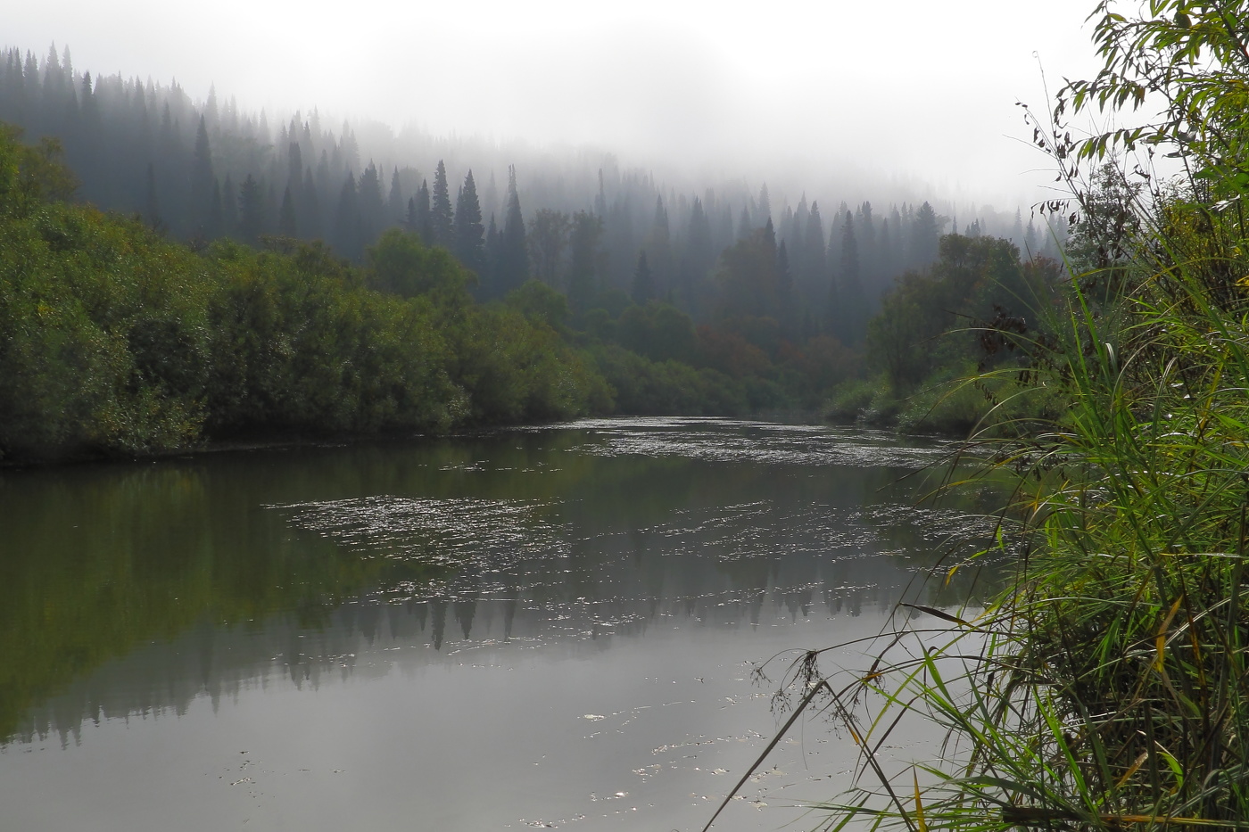 Утро туманное