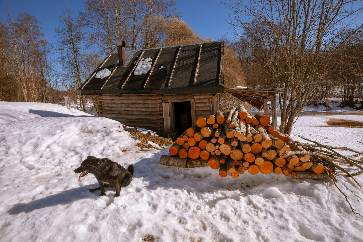 Жизнь вокруг