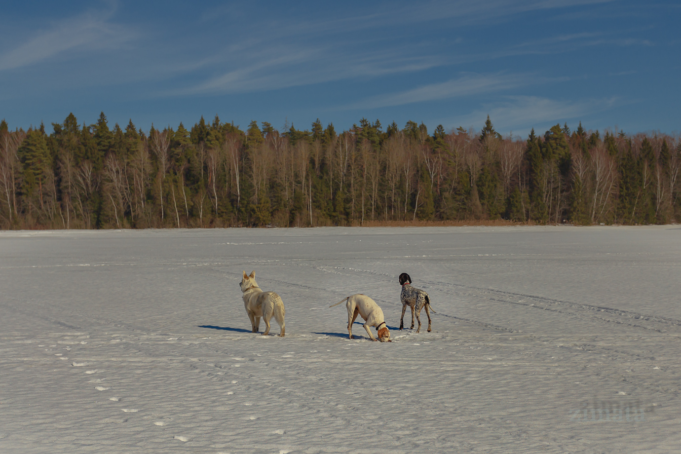 Кто в лес, а кому рыбка