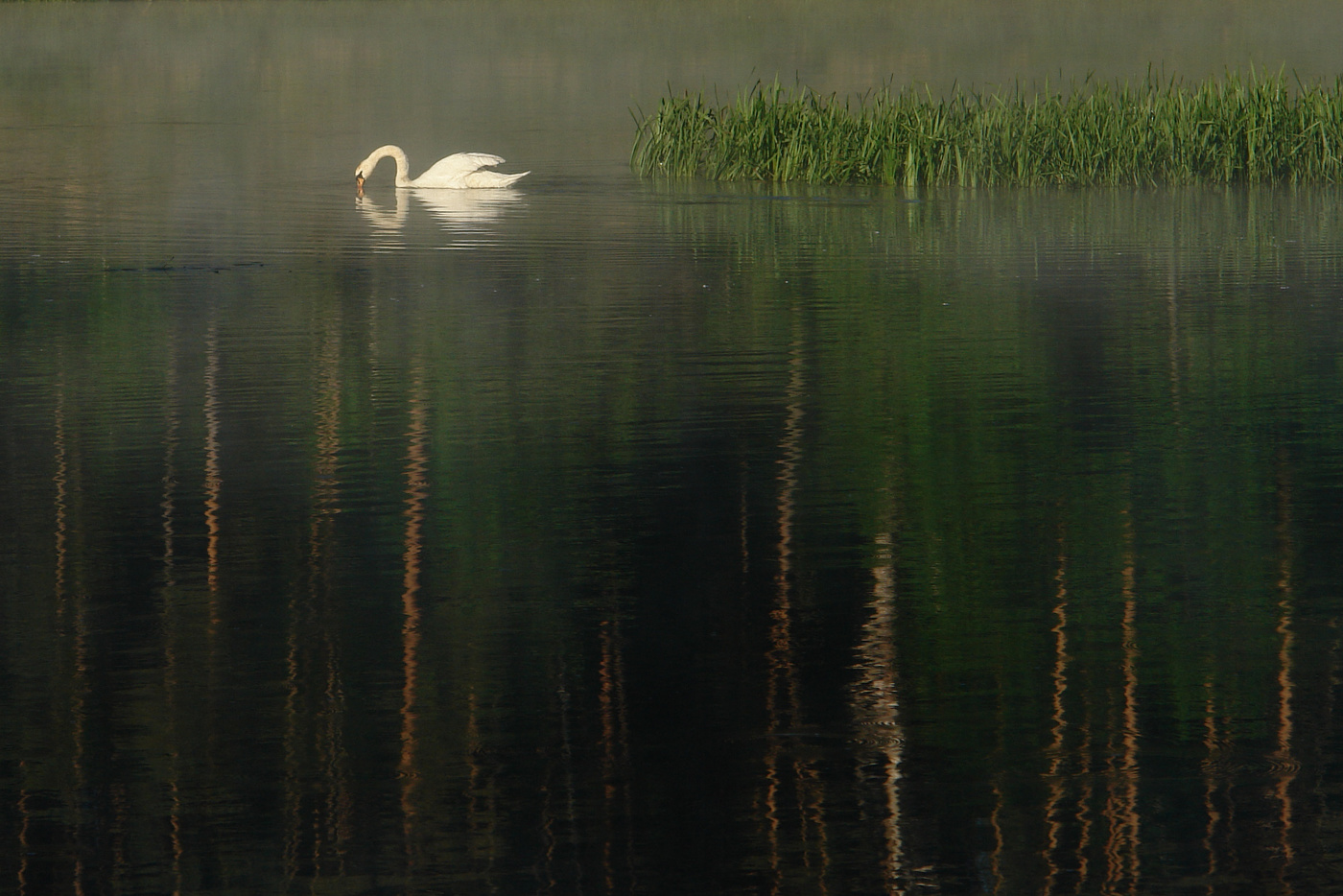 взгляд в себя