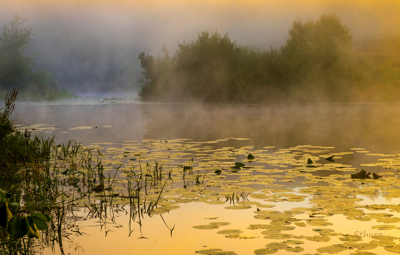 Рассвет на озере.