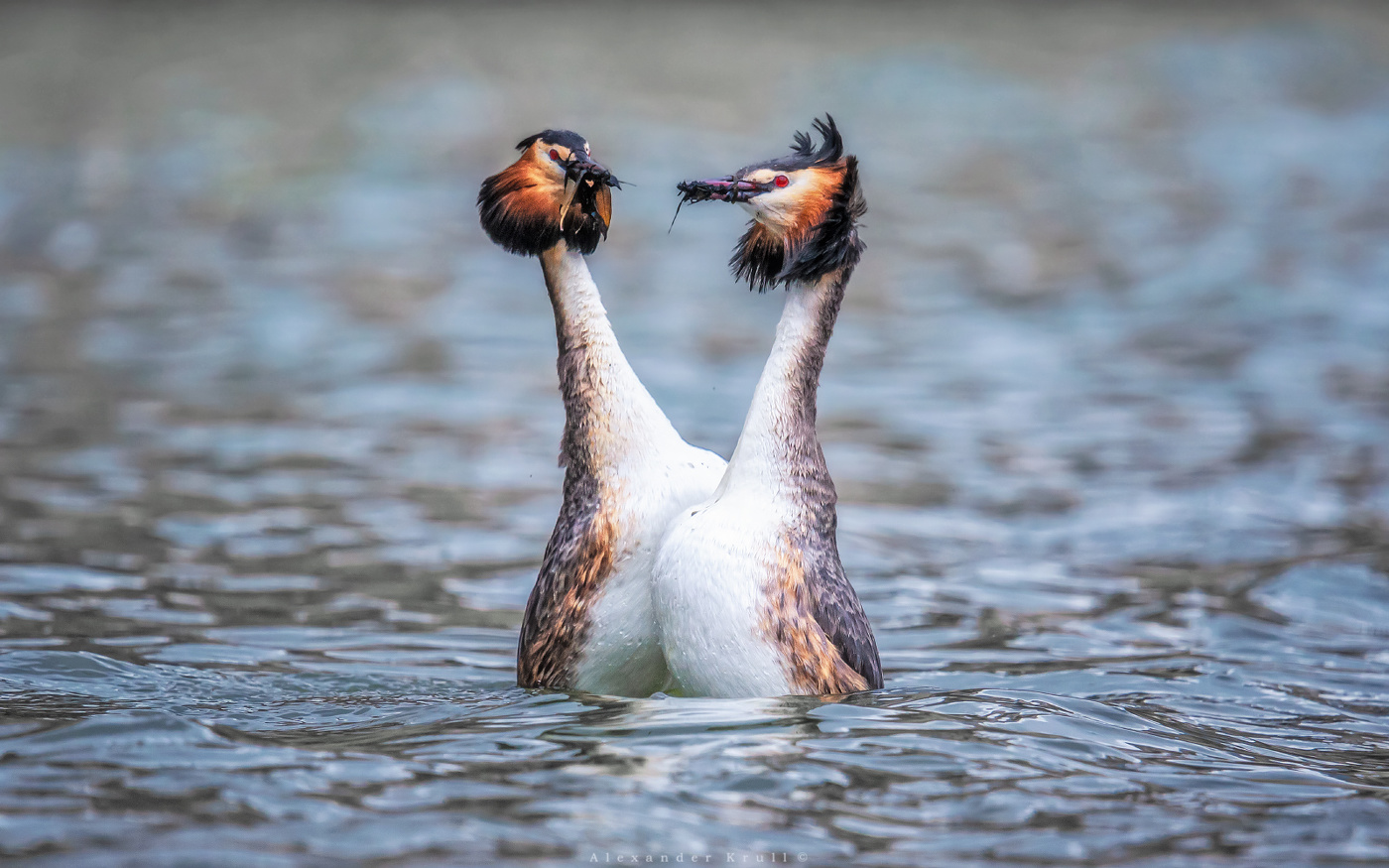 Танец любви