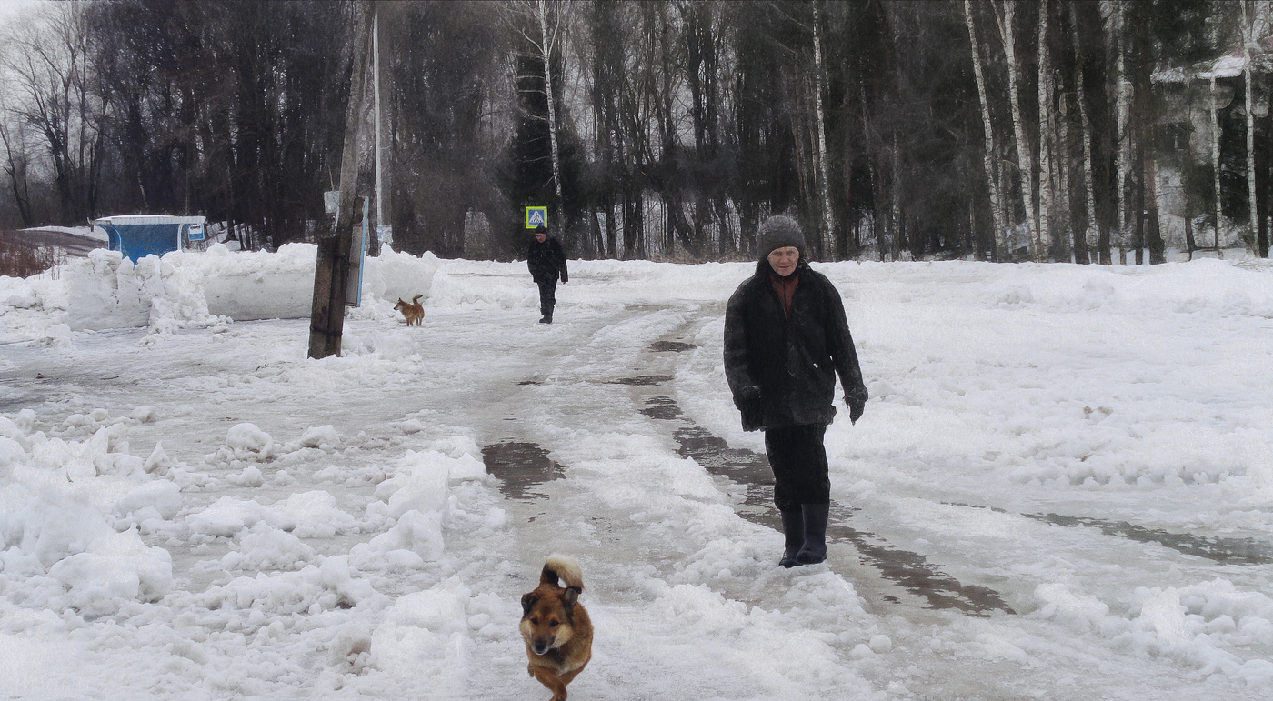 Человек собаке друг...