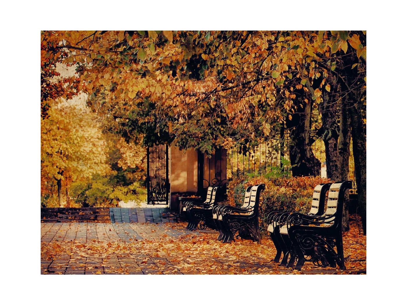 В парке Осеннем