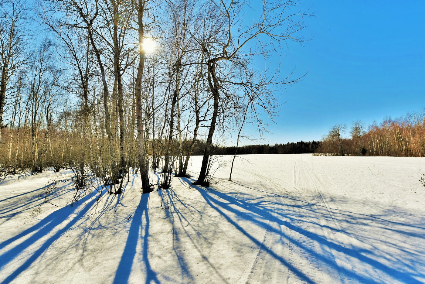 "Еще морочат нас морозы, но даль хрустально-голуба..."
