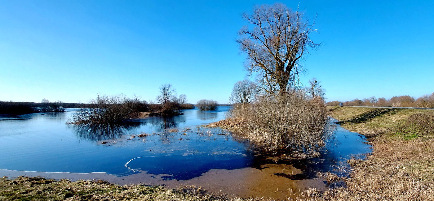 весенний разлив