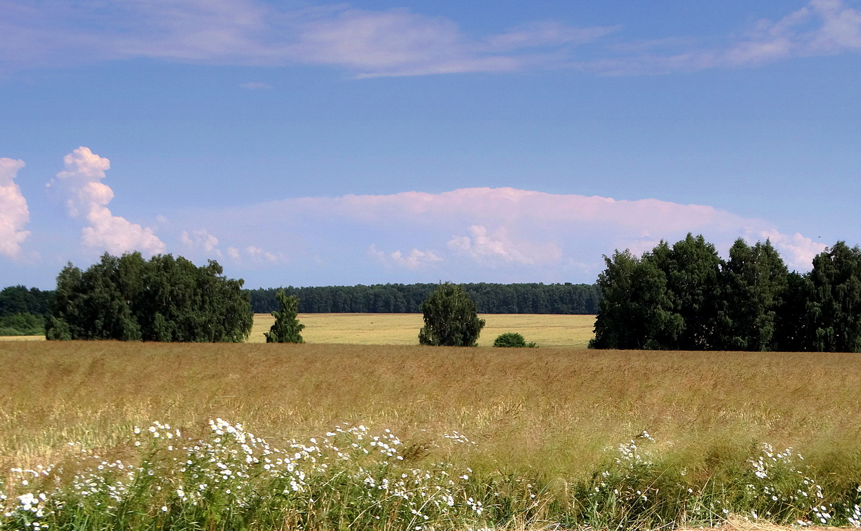 В летнюю пору
