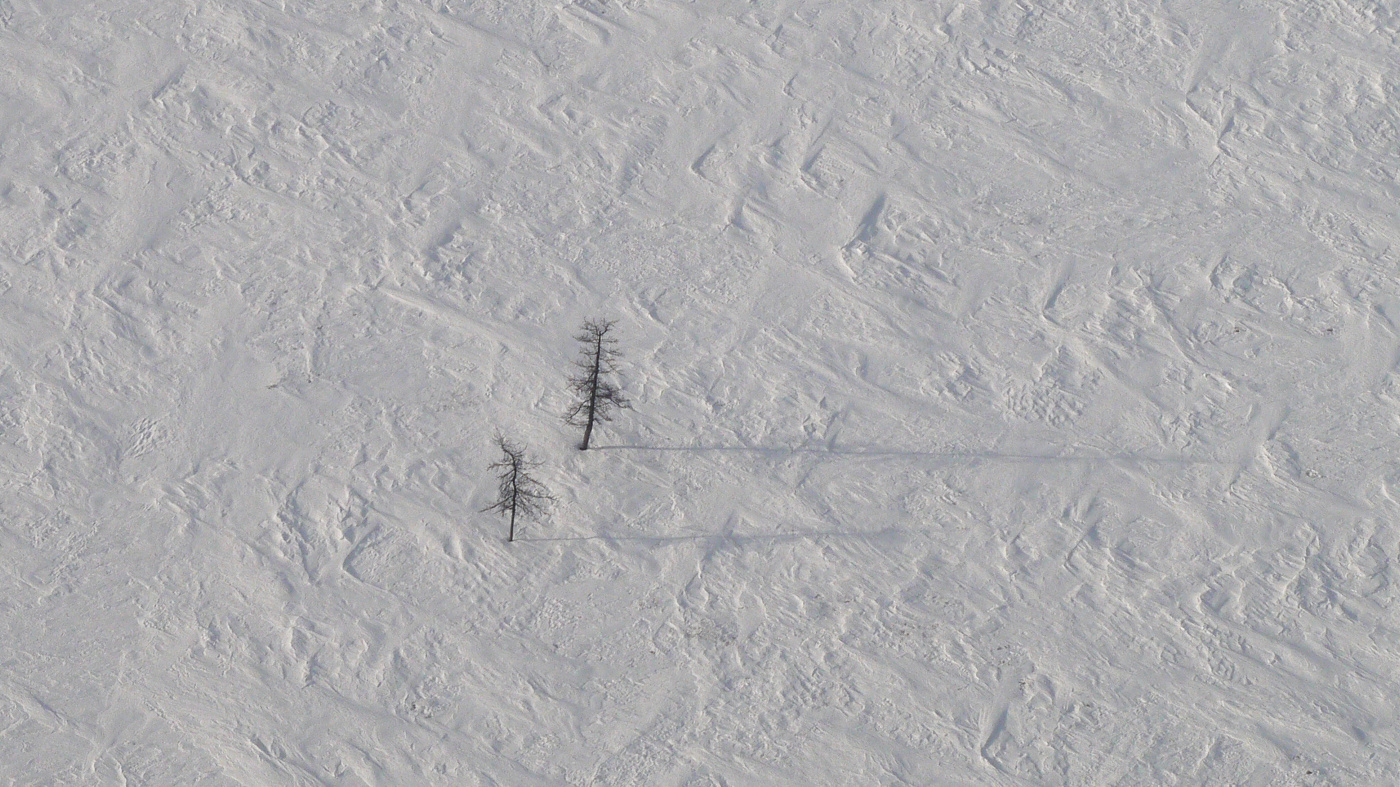 Три часа или тундра направо.