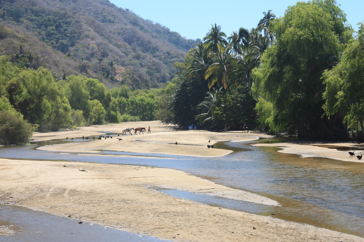 Жаркий полдень...