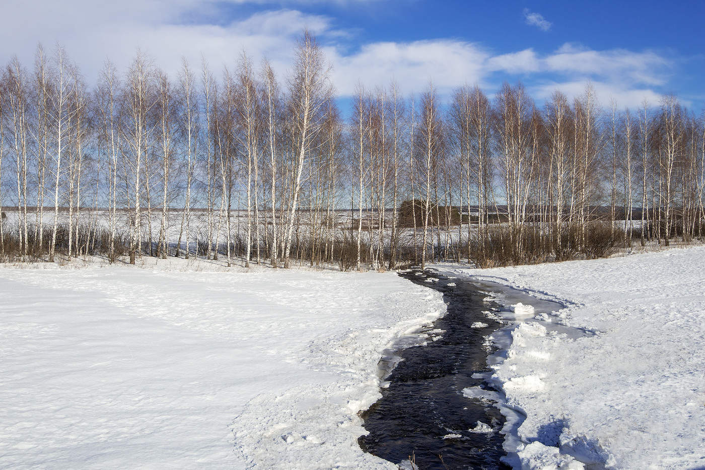 Бегут ручьи...