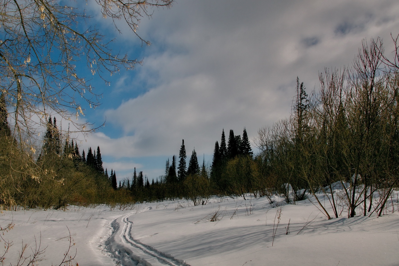 *Мартовским днём.**
