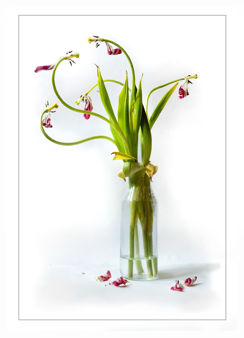 После праздника