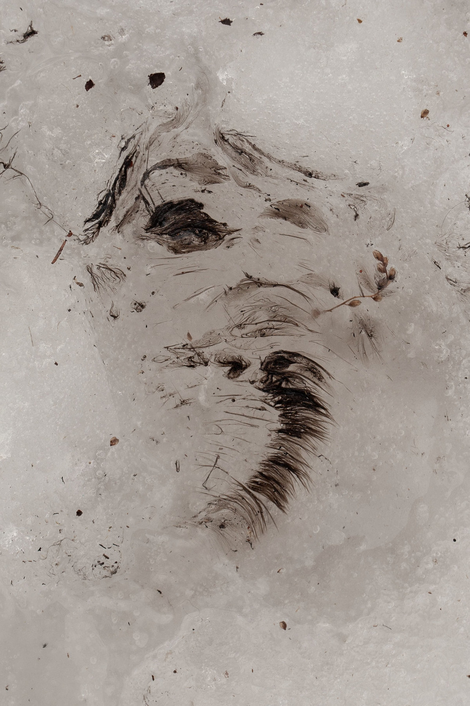 Жизнь вокруг