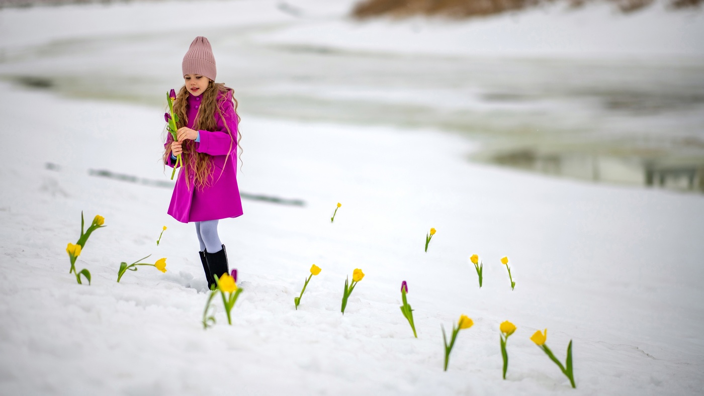 Полянка с тюльпанами