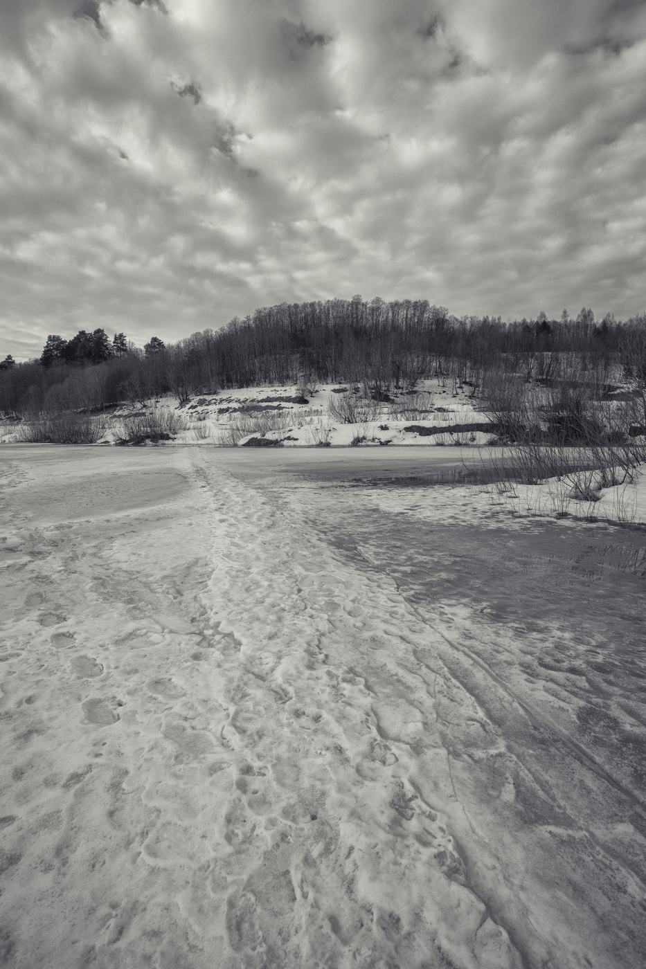 Жизнь вокруг