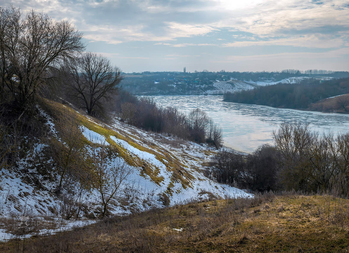 Весенний пруд