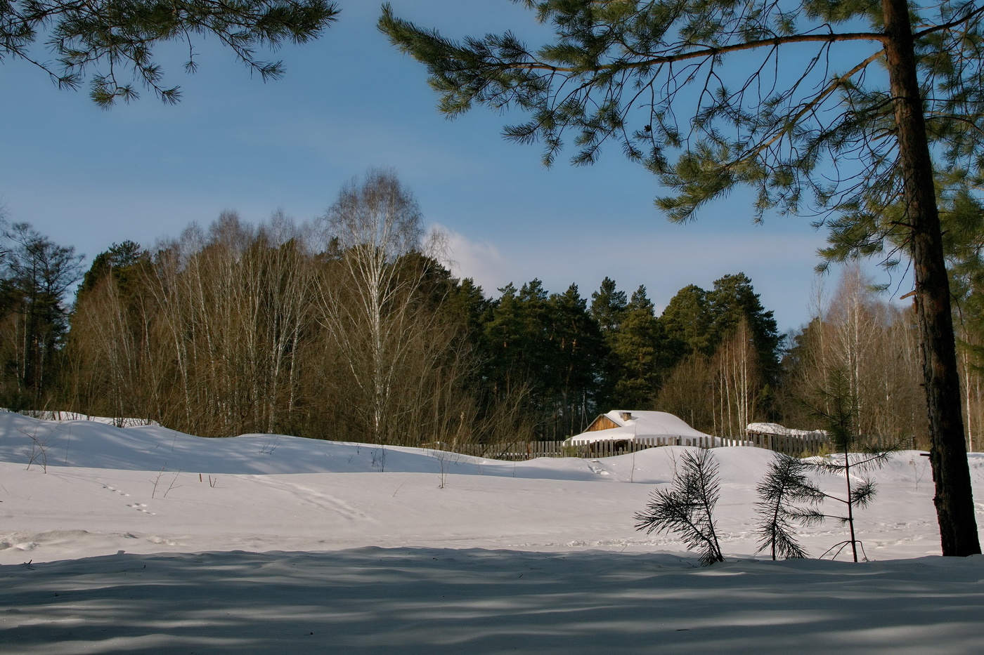 *Солнечный март.**