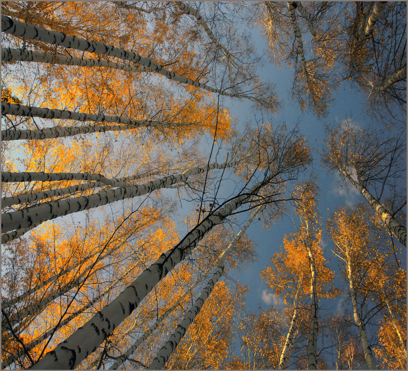 Квадрат осени