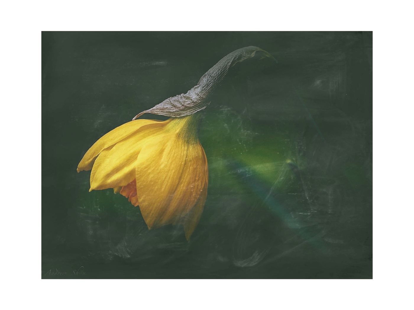 Дым сигарет с ментолом