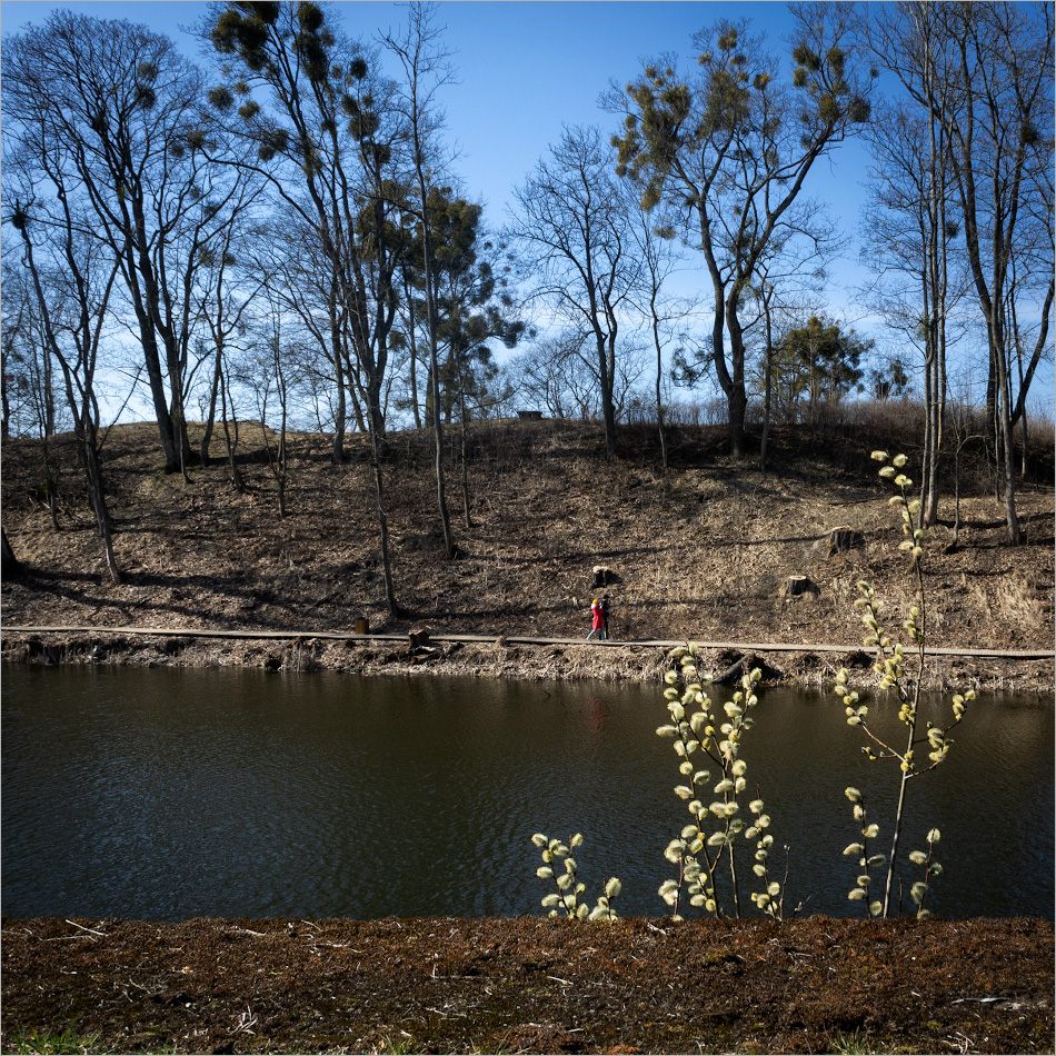 шары-шарики