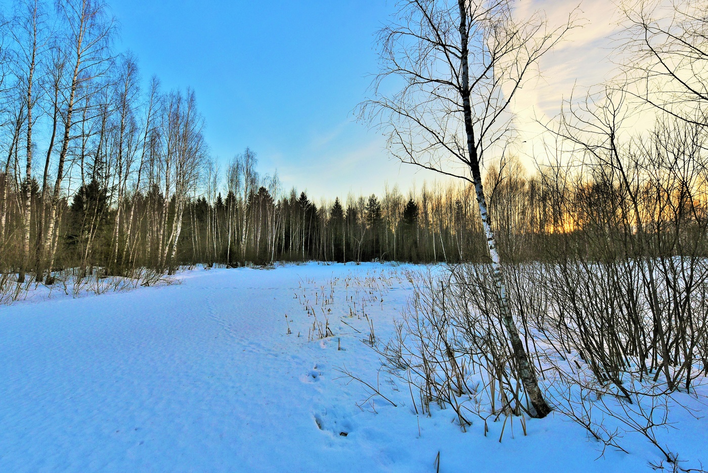 "Вот и вечер, а дня будто не было ..."